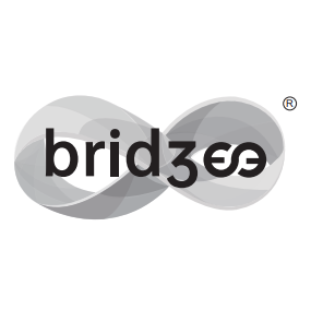 Bridgee logo